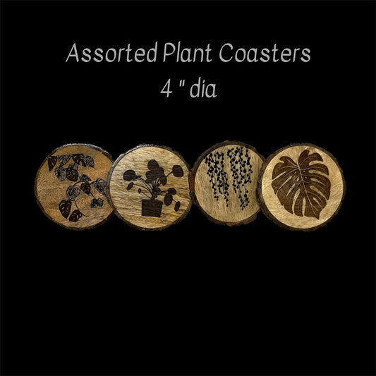 Mango wood coaster set of four with plant images etched on each